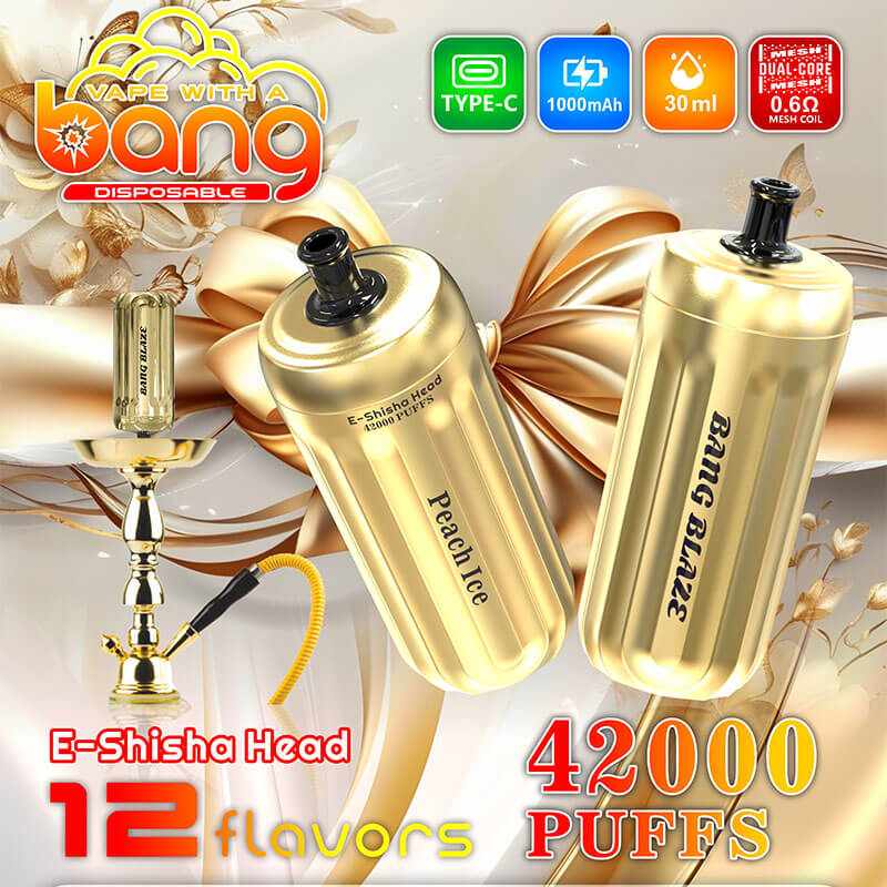 Bang Blaze E Shisha Head 42000 Puffs