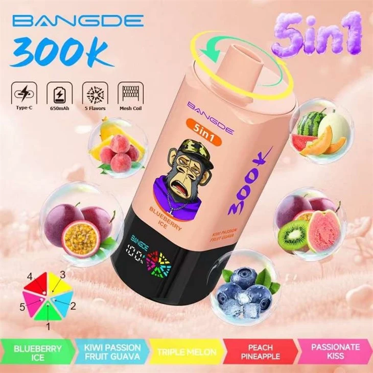 Bang DE 300K 5 IN 1