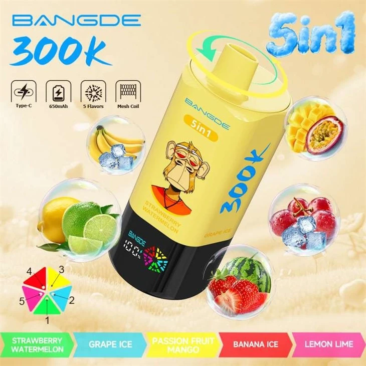 Bang DE 300K