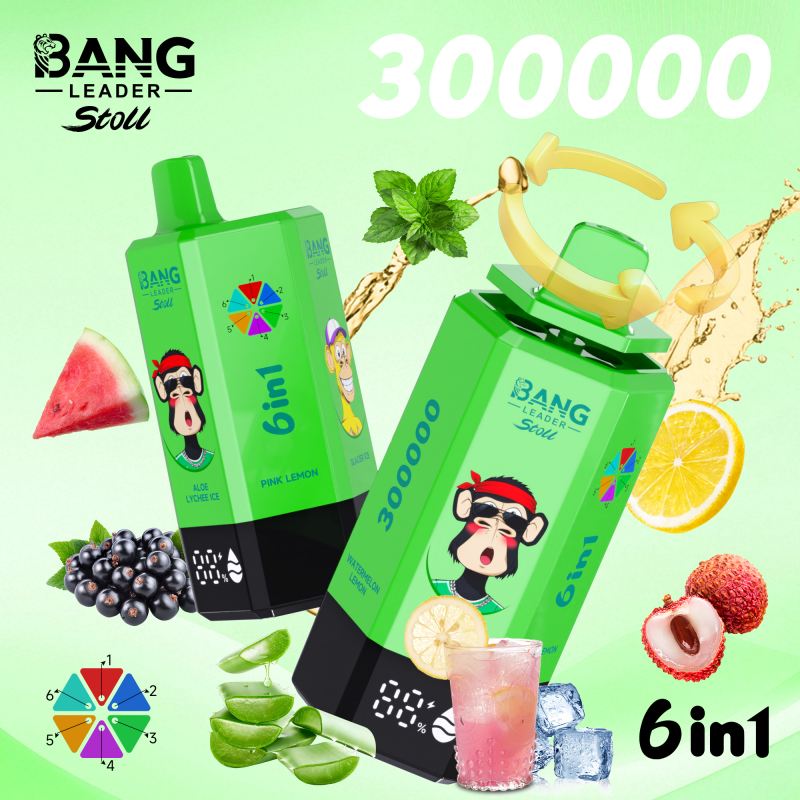 Bang Leader 300K Puffs
