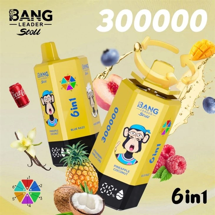 Bang Leader 300K Puffs