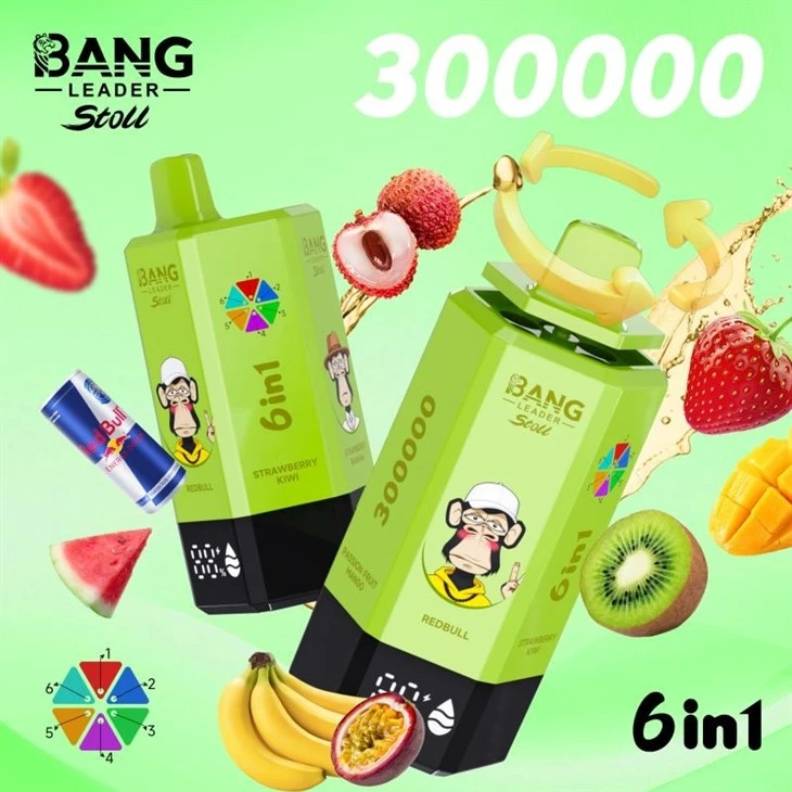 Bang Leader 300K Puffs Vape