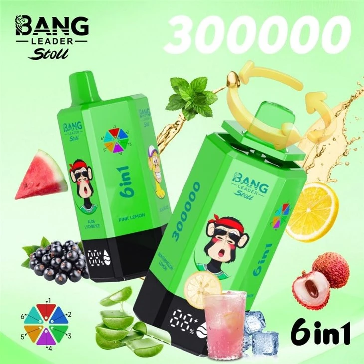 Bang Leader 300K Puffs