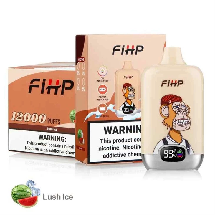 Fihp Digital Box 12000