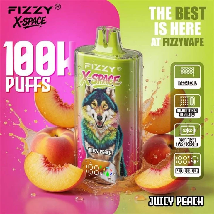 Fizzy X Space 100K