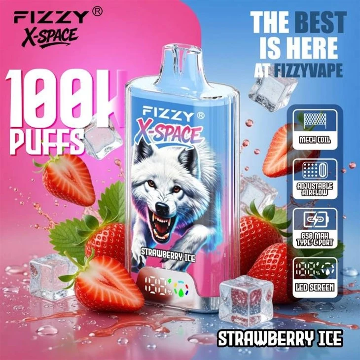 Fizzy X Space 100K