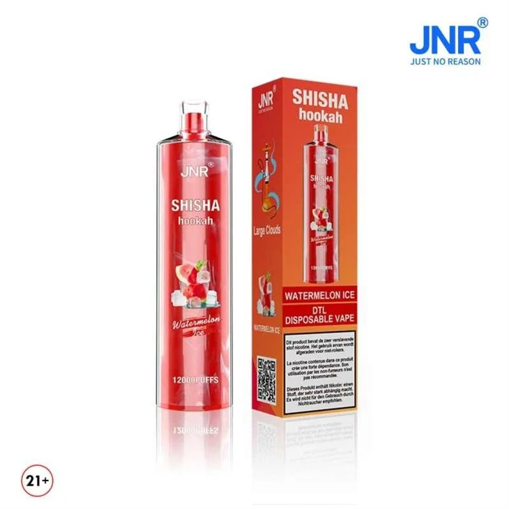 Jnr Shisha 12000 Dtl