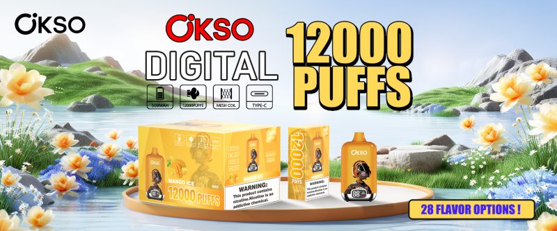 Okso Digital Box 12K