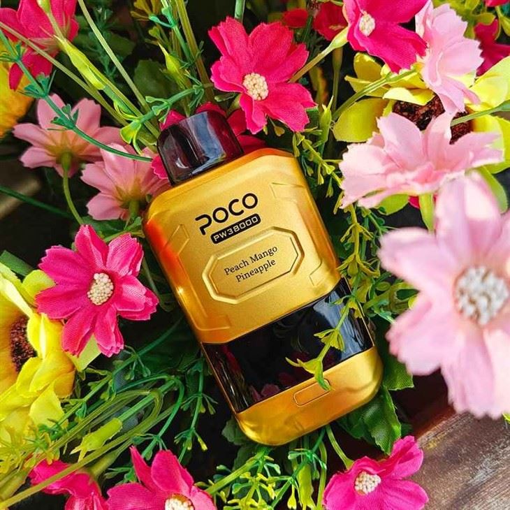 Poco PW 38K