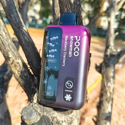 Poco Snowman 70000 Puffs