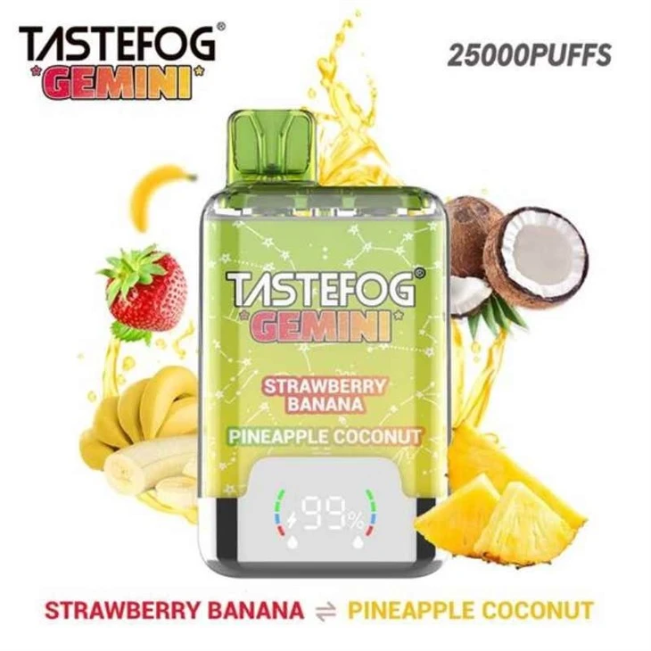 Tastefog Gemini 25000 Puffs