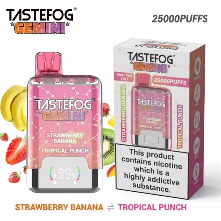 Tastefog Gemini 25K