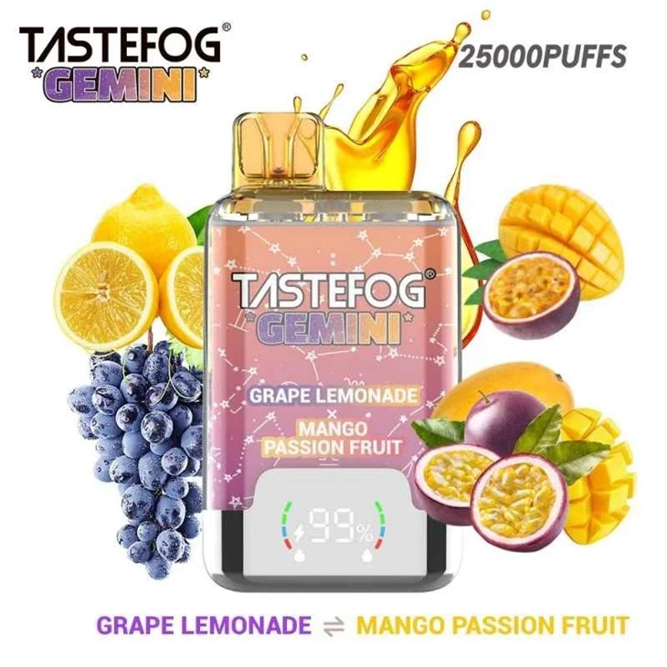 Tastefog Gemini 25K