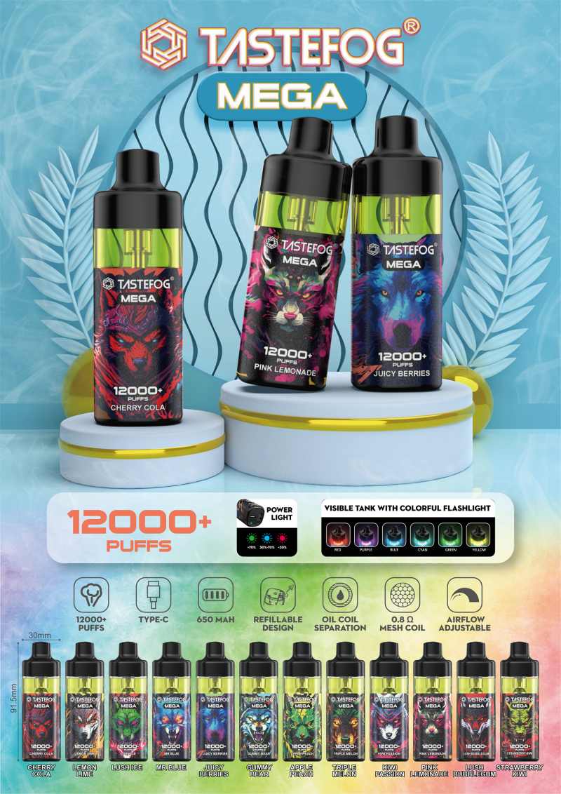 Tastefog Mega 12000