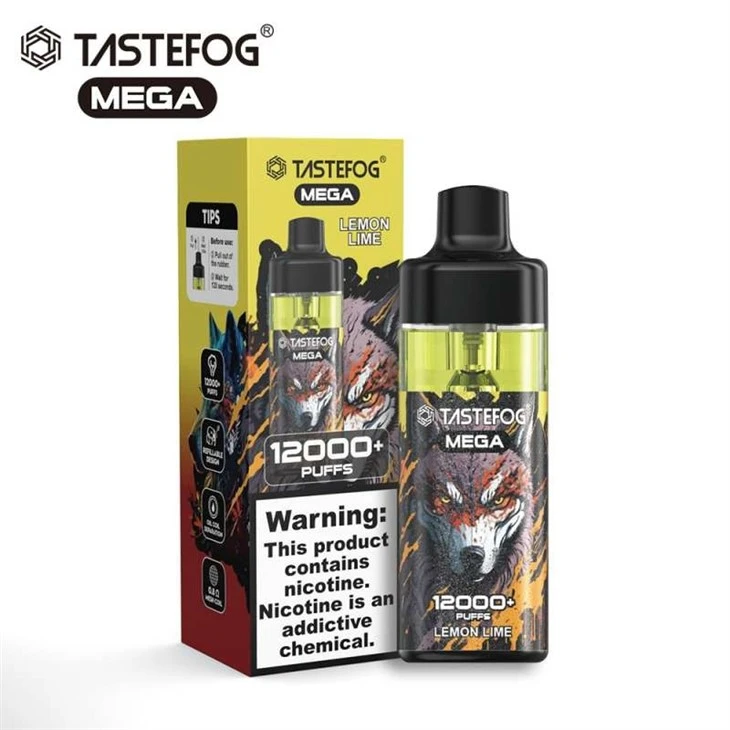 Tastefog Mega 12000