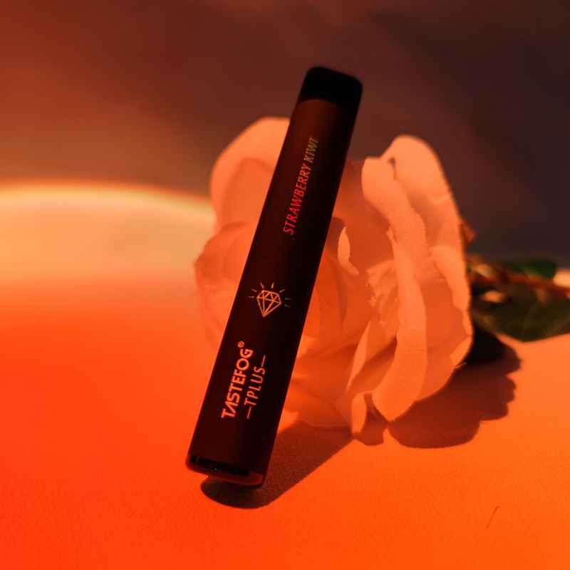 Tastefog Tplus 800