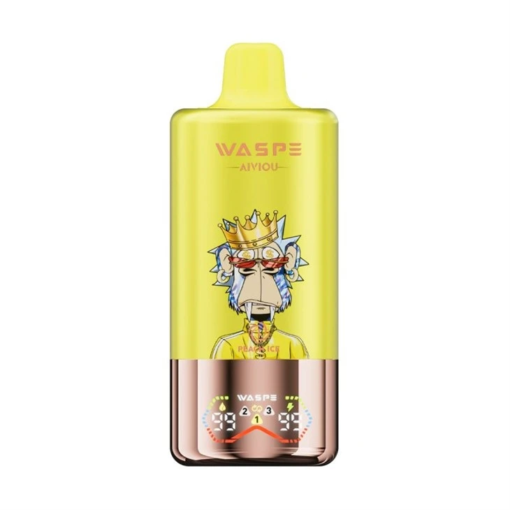 Waspe Aiviou 60K 3 IN 1